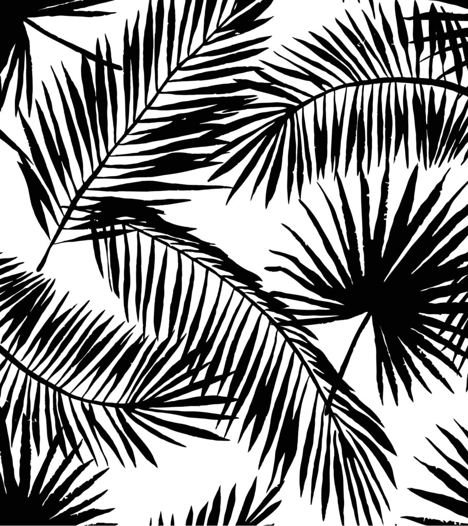 diseño palmeras negras vectorial