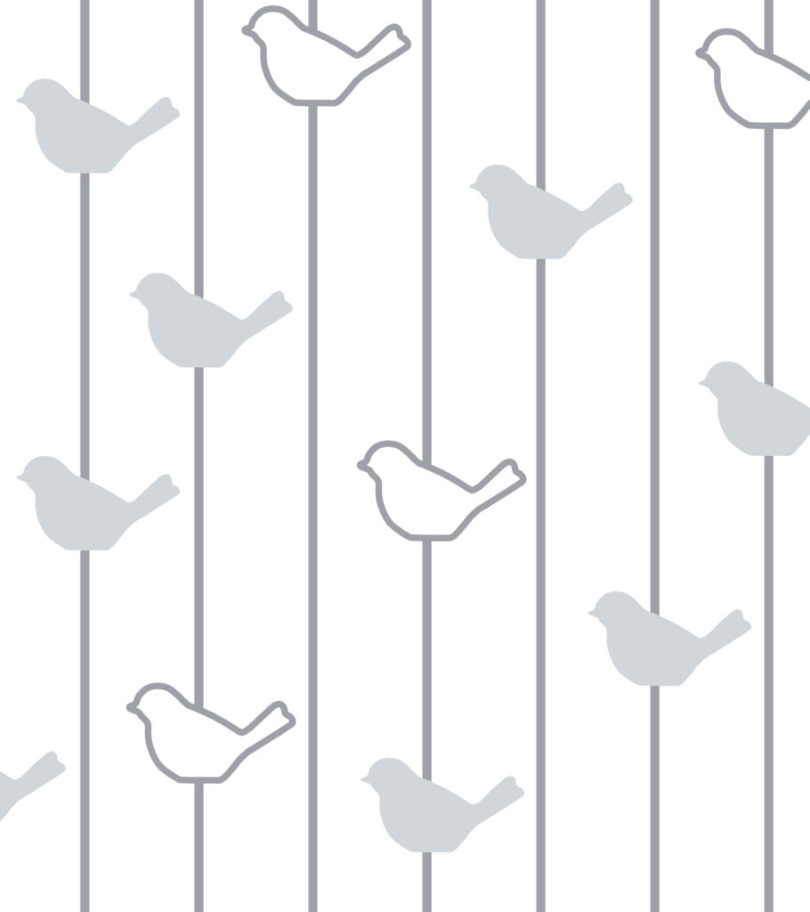 diseño lineas con pájaros vectorial