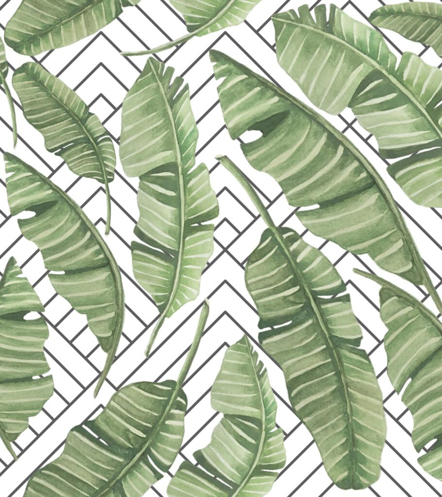 diseño vectorial lineas con hojas selva